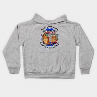 Are you sure Santa's Coming? Kids Hoodie